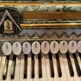 Student model Frontalini