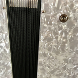 Made in Germany Accordion